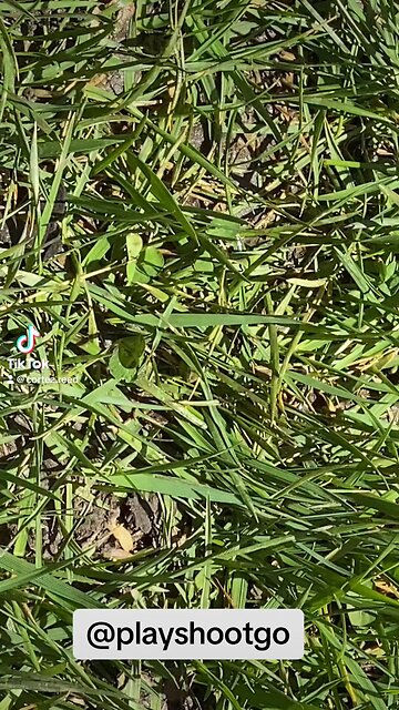 crystals shiny on eclipse 2024￼