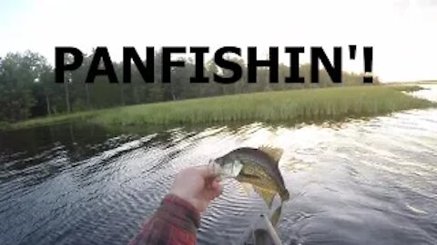 Panfishin' TwentyTwenty