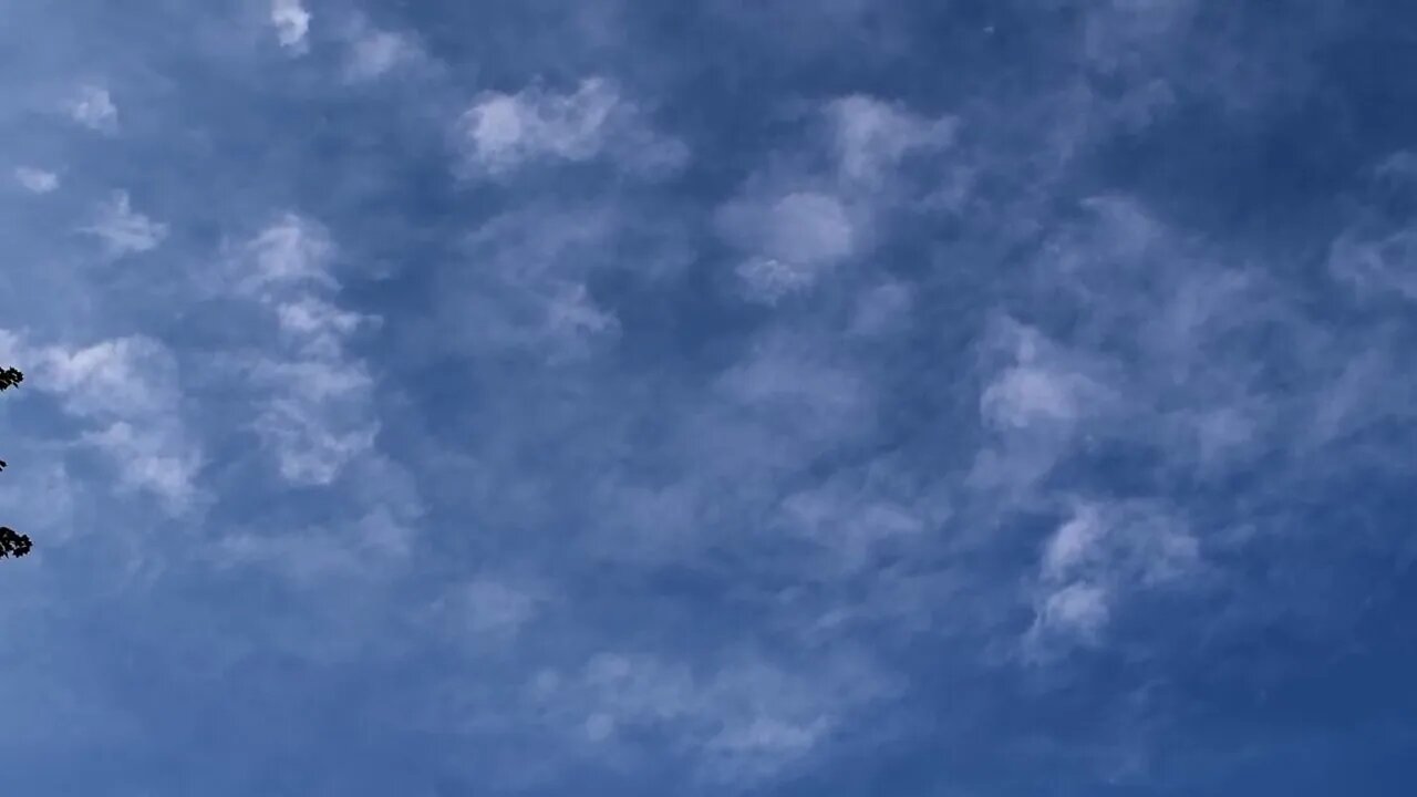 July 15, 2023 I Need Help