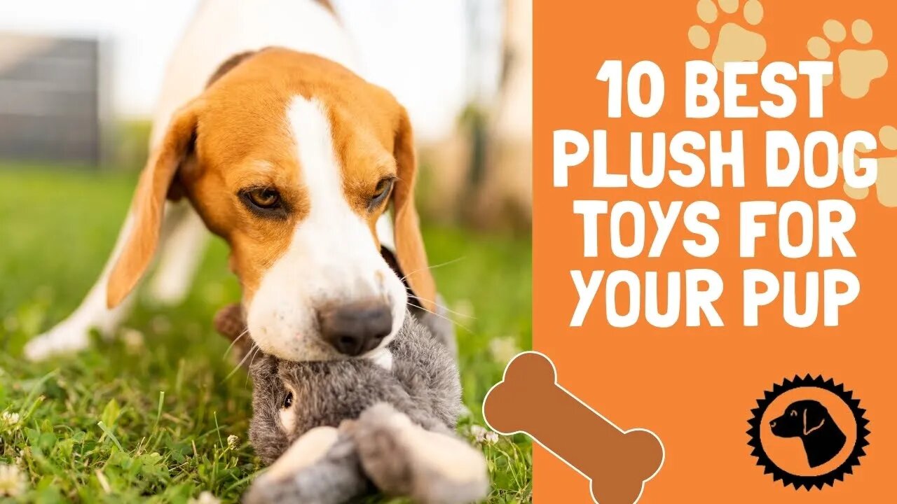 10 Best Plush Dog Toys For Your Pup | DOG PRODUCTS 🐶 #BrooklynsCorner