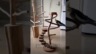 QUANDO SUA MÃE TE MIMA DEMAIS