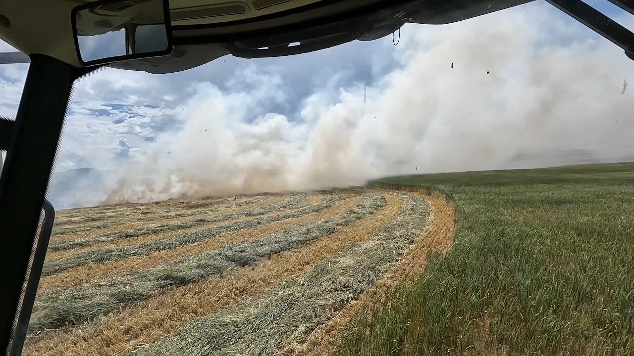 Field On Fire!!