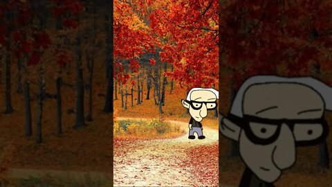 Woody Allen Learns to Fly!