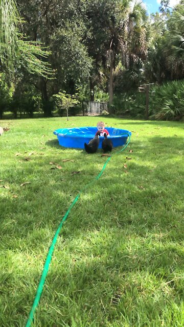 Having Fun with the ducks