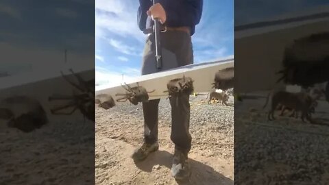 True Freeman Breaking In My New Construction Magnet 🧲