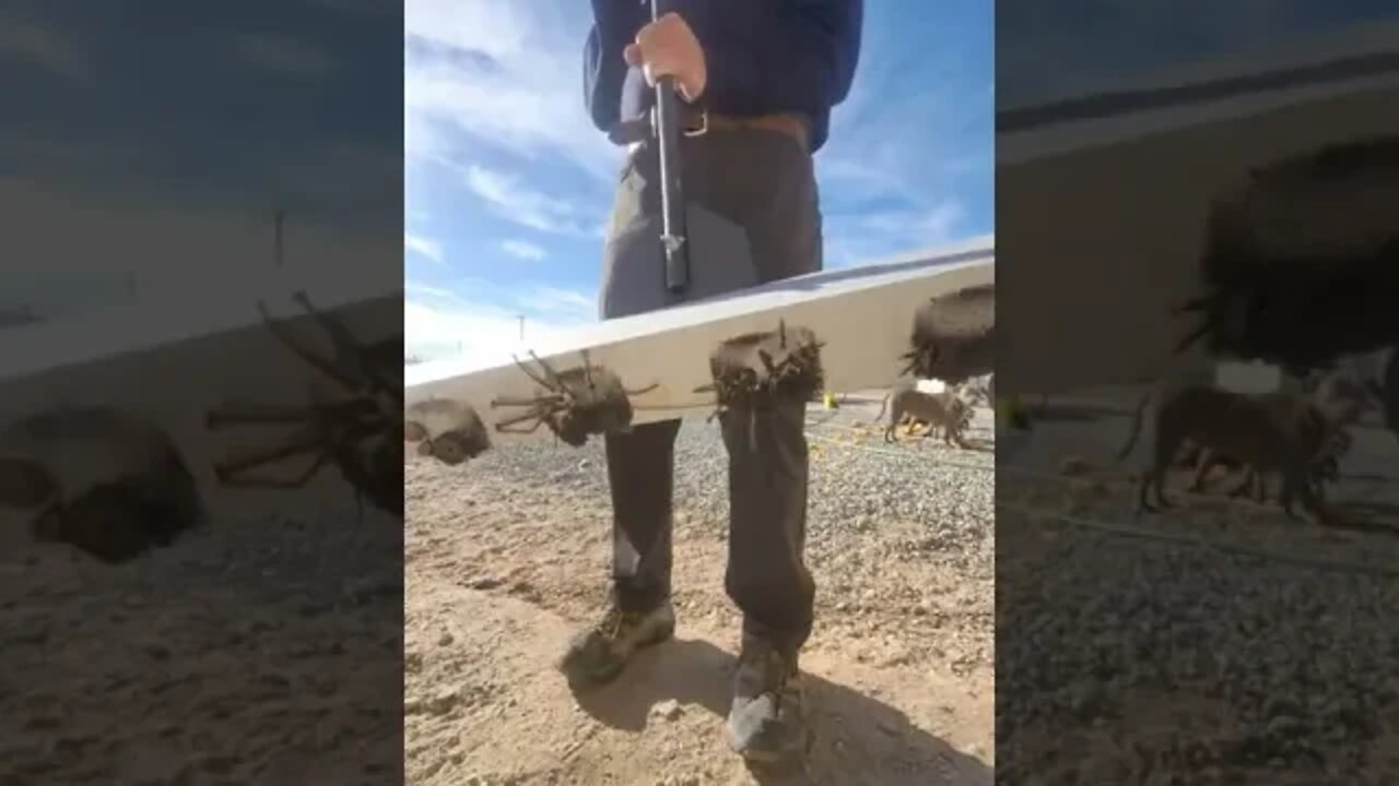 True Freeman Breaking In My New Construction Magnet 🧲