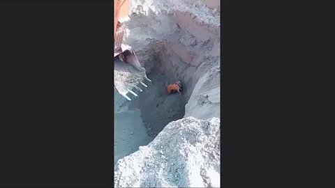 THIS DOG🐕WAS SAVED BY A EXCAVATOR👷👍😎