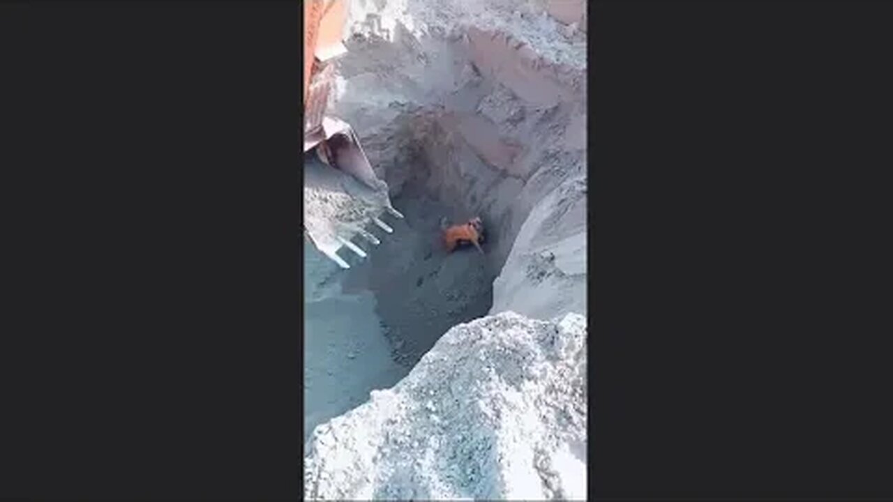 THIS DOG🐕WAS SAVED BY A EXCAVATOR👷👍😎