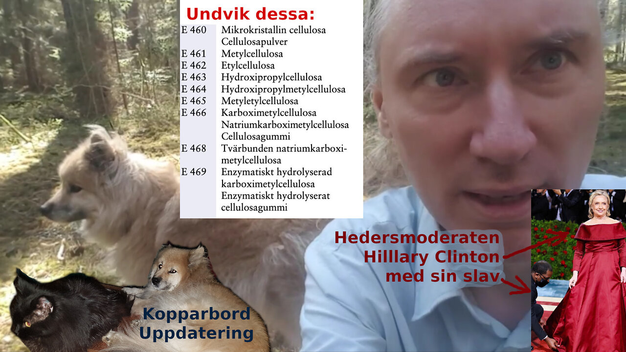 Trägummi farlig tillsats. Deflation, men prisökningar! Manipulativa narrativ faller - Var smart!