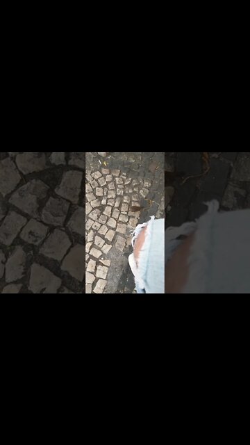 #shorts #shortvideo #short #shortsbrasil