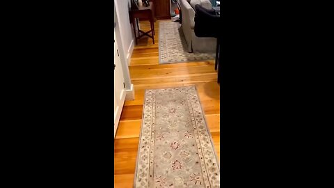 Cute baby enjoys playing with Dog🤭😍🤭