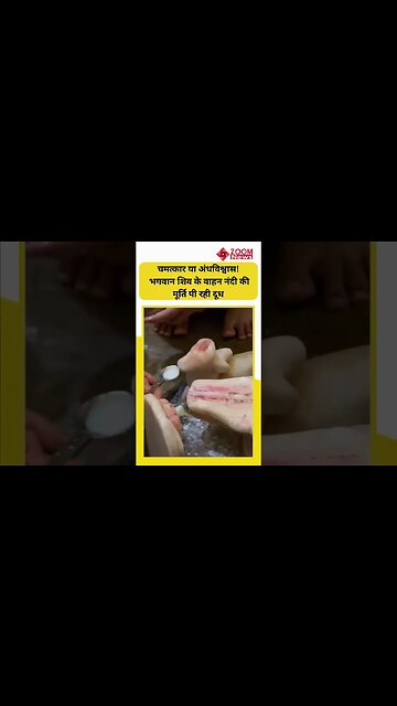 चमत्कार या अंधविश्वास! यहां भगवान शिव के वाहन नंदी की मूर्ति पी रही दूध, Video वायरल #shorts