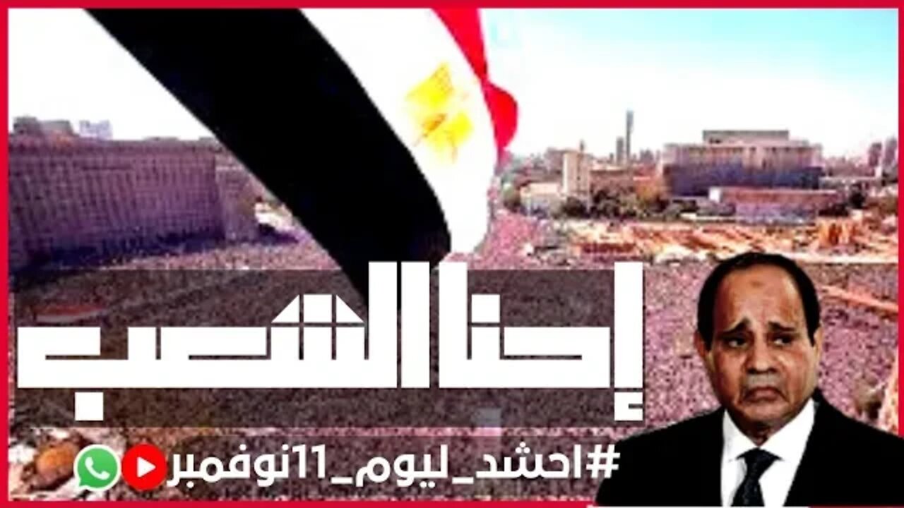 السيسي بيفرفر والأبطال لسه بيبعثوا فيديوهات من كل المحافظات 💬 11/11