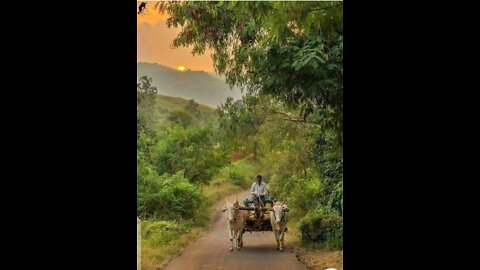 Beautiful Peace quite village life