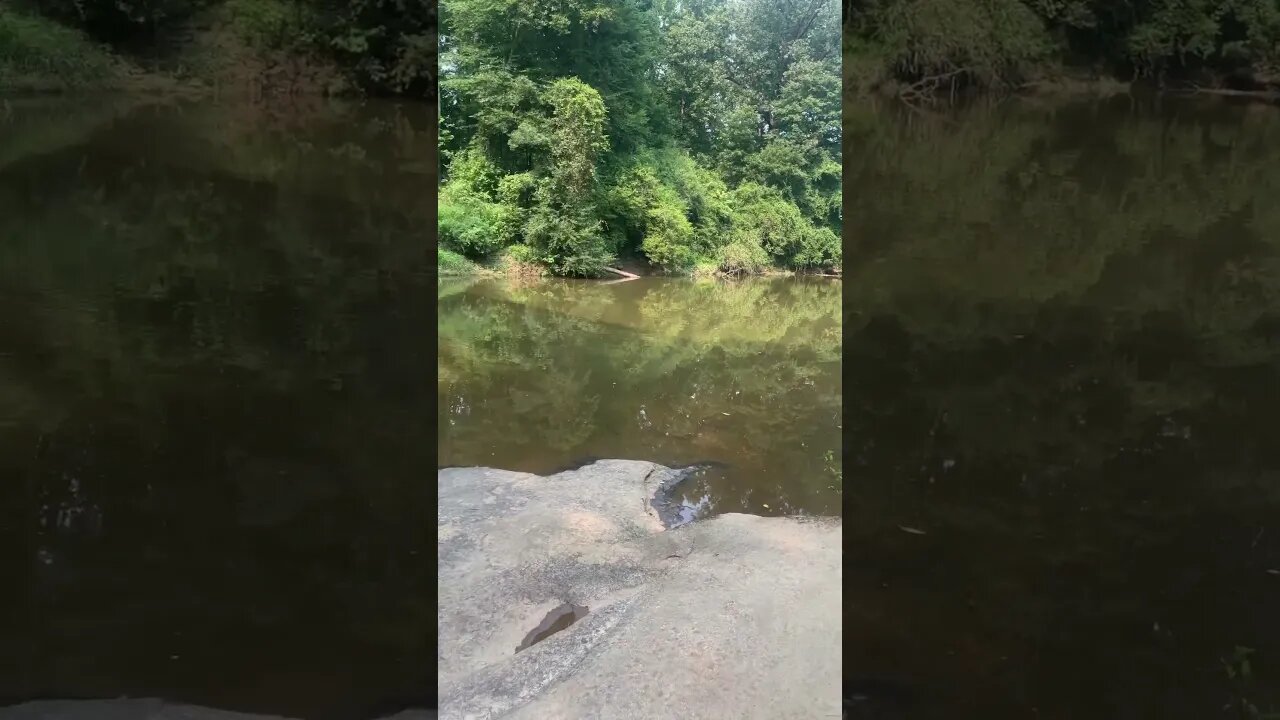 Happy Monday! Fishing at the creek #fishing #outdoors #nature