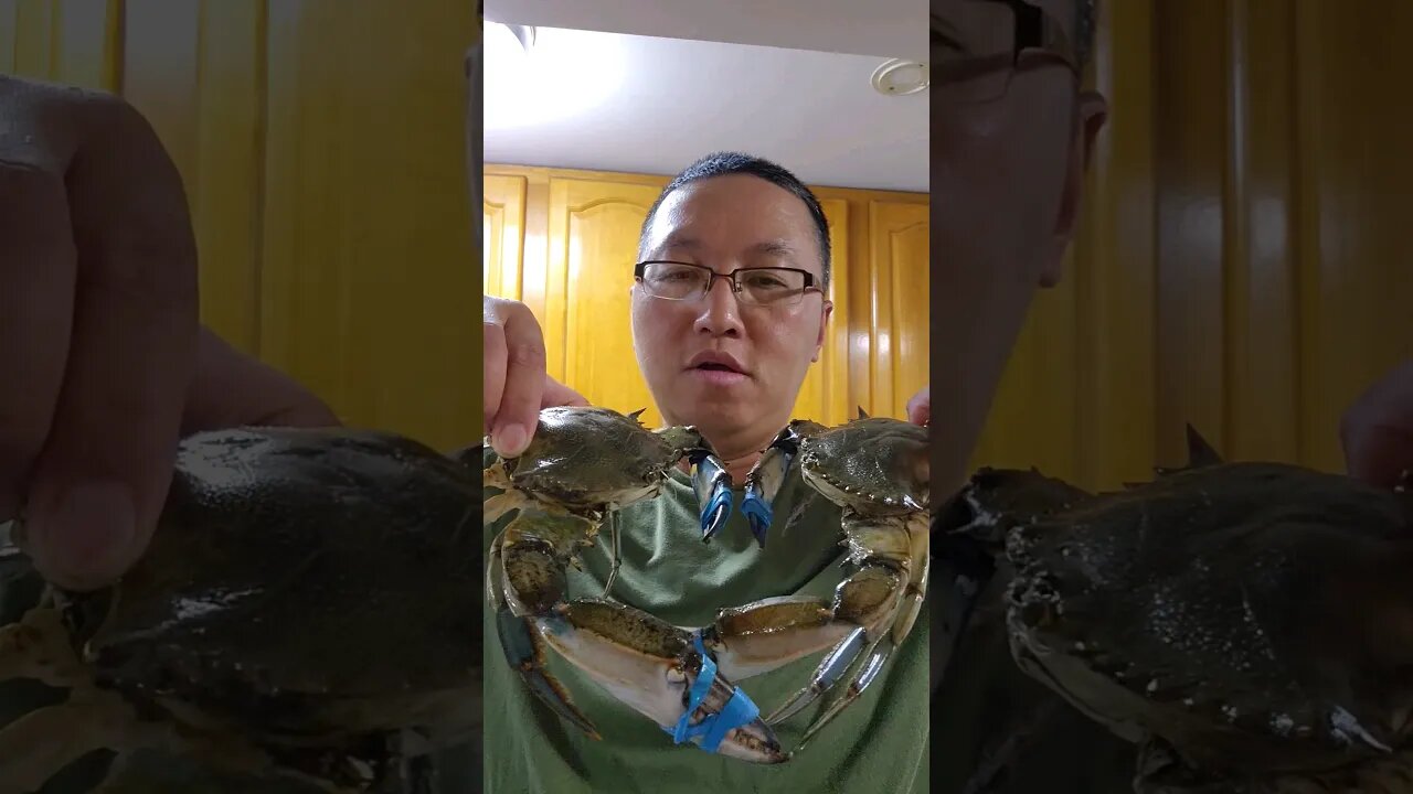 NYC Wild Caught Mega JUMBO Blue Crabs!!!😱🤯