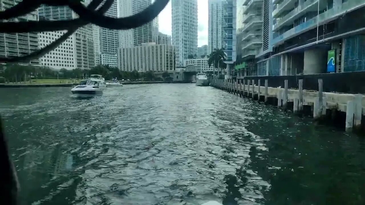 Matt driving a school bus up the Miami River!