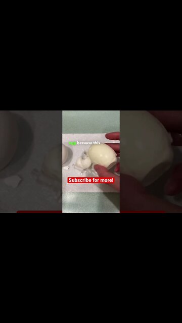 Shell shock 😳 #shorts