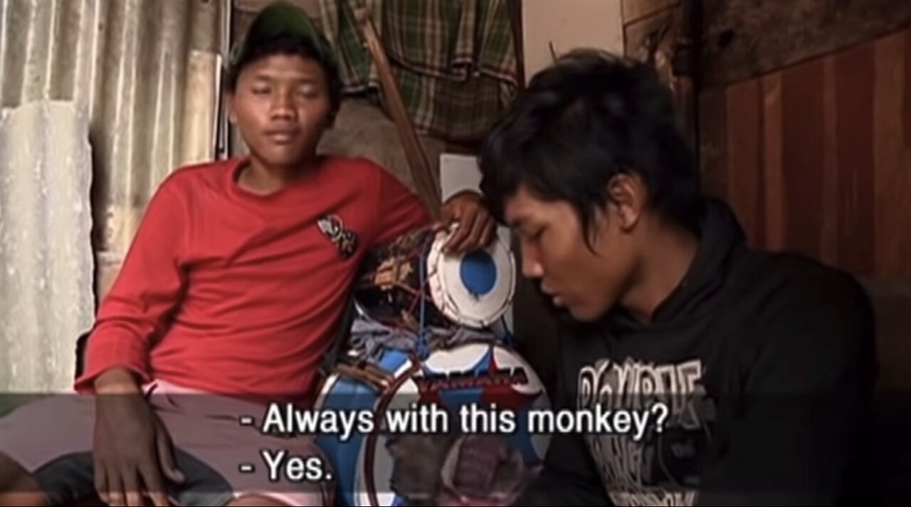 Monkey Business - An Eye-Opening Look into the Lives of Jakarta's 🇮🇩 Performing Monkeys