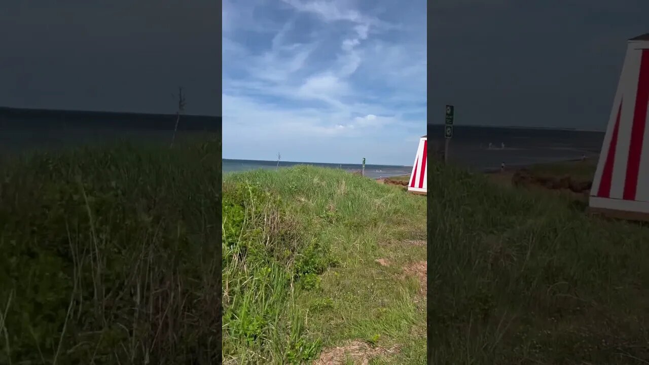 It Was a Good Day ☀️