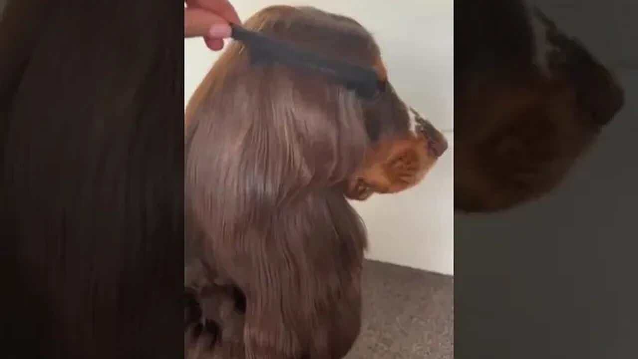 My Hair is only cool