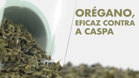 Cranberry, uma opção baixa em gordura