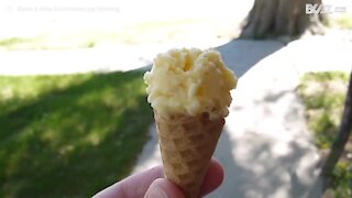 Cet écureuil mange une glace en cornet