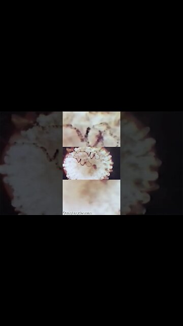 Did a prehistoric Nuclear Conflict happen around 8500 BC ? #nuclearwar #prehistoric #nuclear