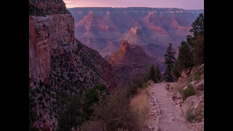 PINK SNAKES! Weird things about the Grand Canyon - ABC15 Digital