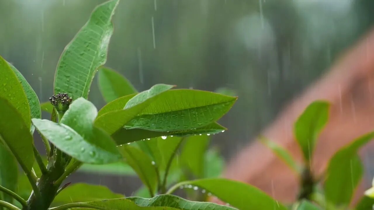 O início de todo mundo! GÊNESIS o "LIVRO SAGRADO" Bíblia 🙏🏻