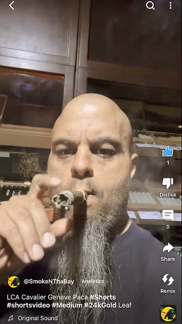 LCA Cavalier Geneve Paca #Shorts #shortsvideo #Medium #24kGold Leaf