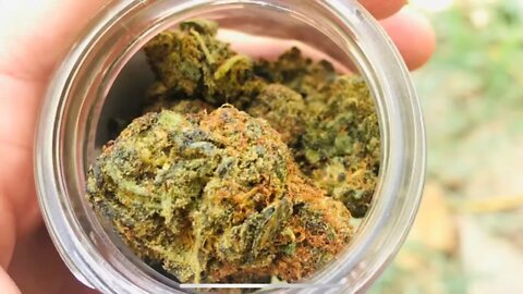 HEMP CARTELS HH8 GUAVA OCTANE #Guava #Octane #Hemp