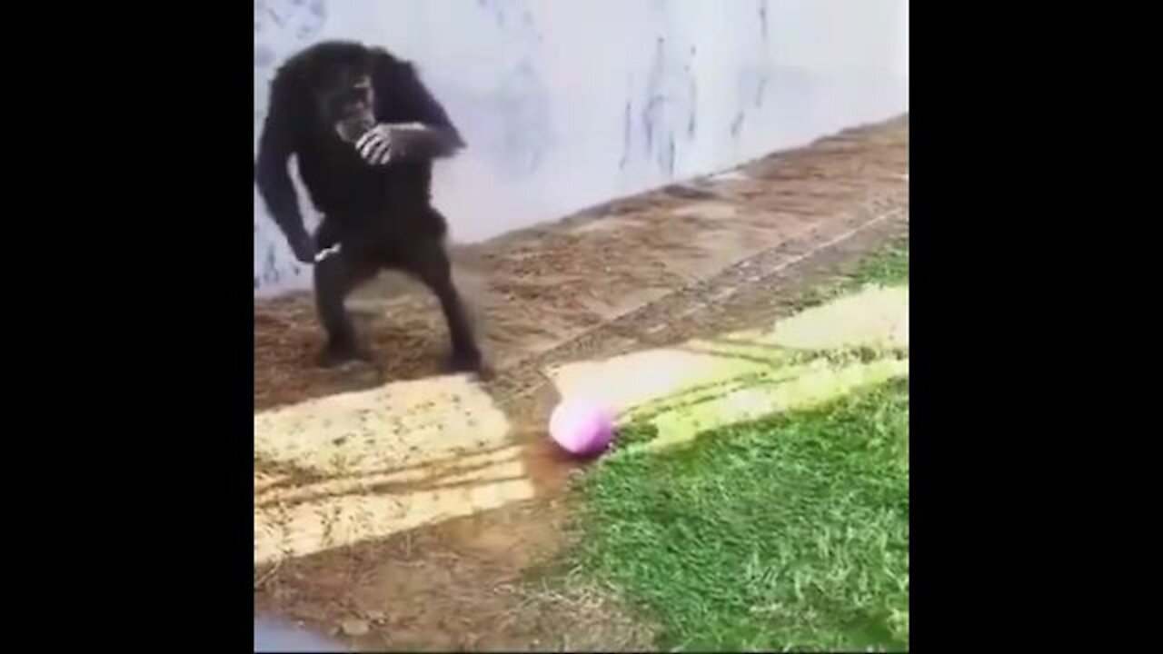 funny better soccer player than me