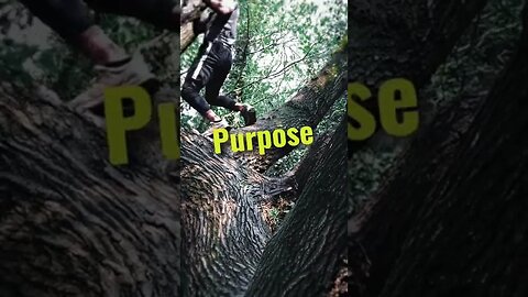 How to find your purpose #shorts