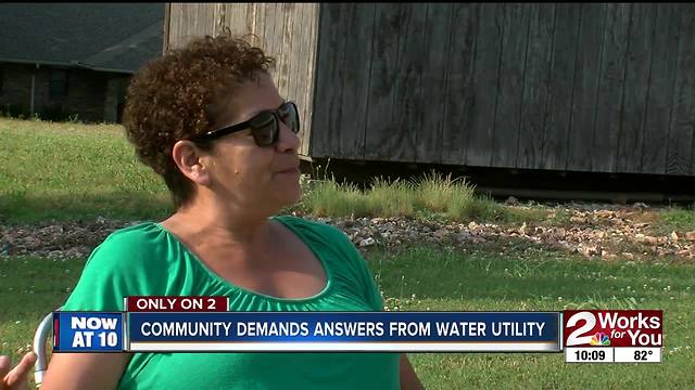 Cherry Tree water district board put on blast