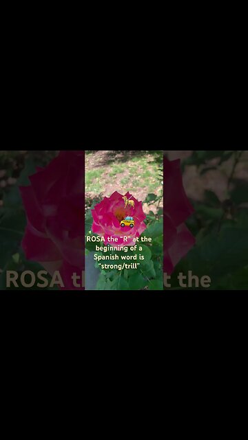 Roll your Rs in Spanish. Rosa & perro/pero carro/caro #learning #trill #spanishword