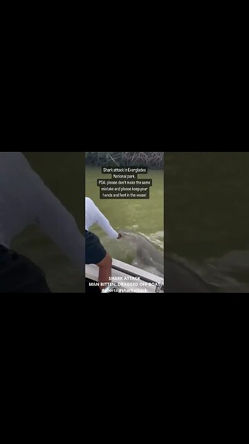 SHARK ATTACK MAN BITTEN, DRAGGED OFF BOAT #shorts #shark