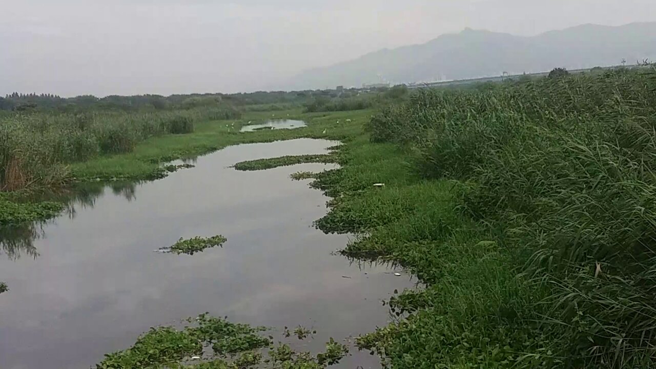 Migratory bird sanctuary inside the natural park.