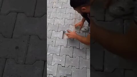 Tại sao lại phải chặt đôi ra nhỉ 🤔🤔