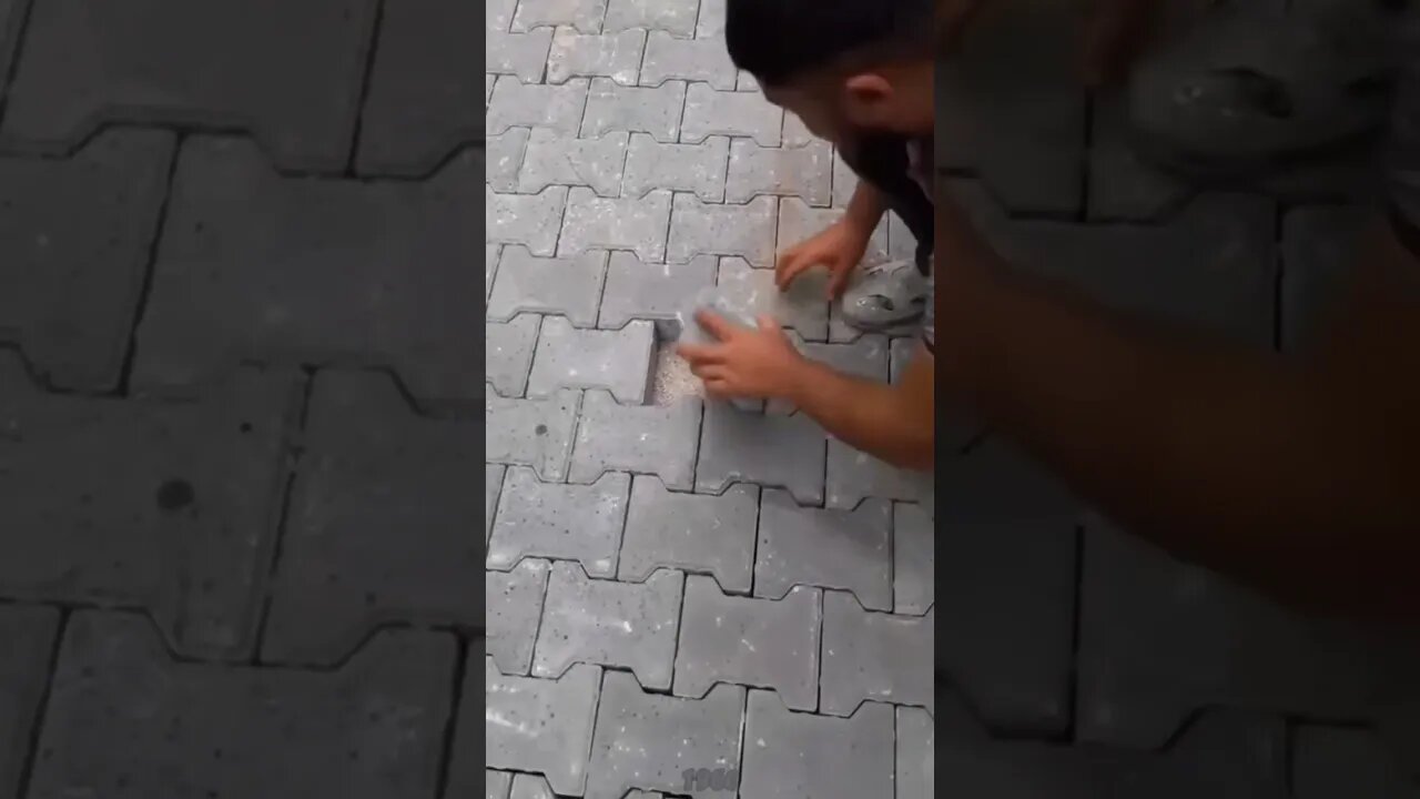 Tại sao lại phải chặt đôi ra nhỉ 🤔🤔