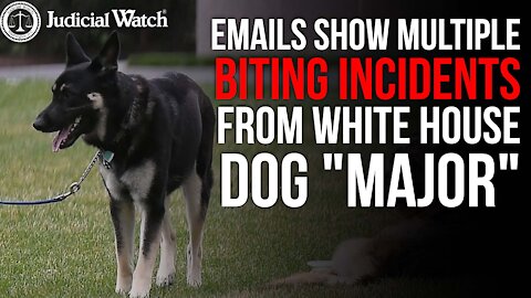 Emails Show MULTIPLE Biting Incidents from WH Dog "Major" -- MORE TIMES than Biden WH Admitted!