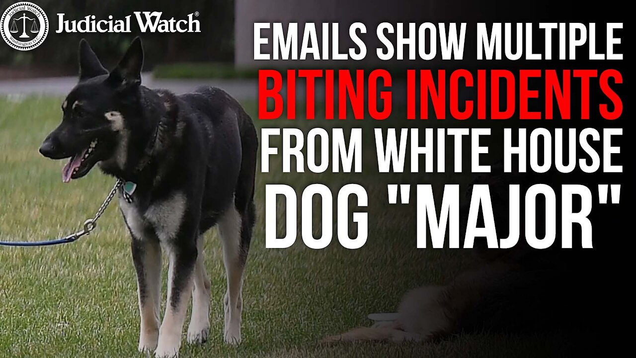 Emails Show MULTIPLE Biting Incidents from WH Dog "Major" -- MORE TIMES than Biden WH Admitted!