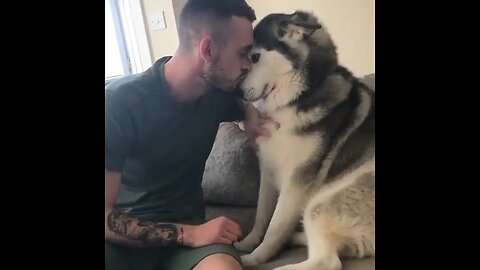 A cute dog and his owner