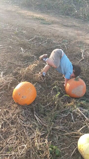 Mama I think I is strong