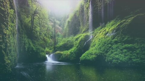 beautifull forest, Calm music, stress relief, meditation, river sound