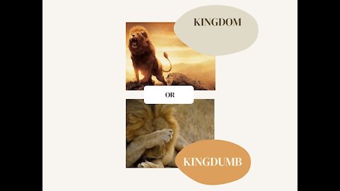 Kingdom or Kingdumb