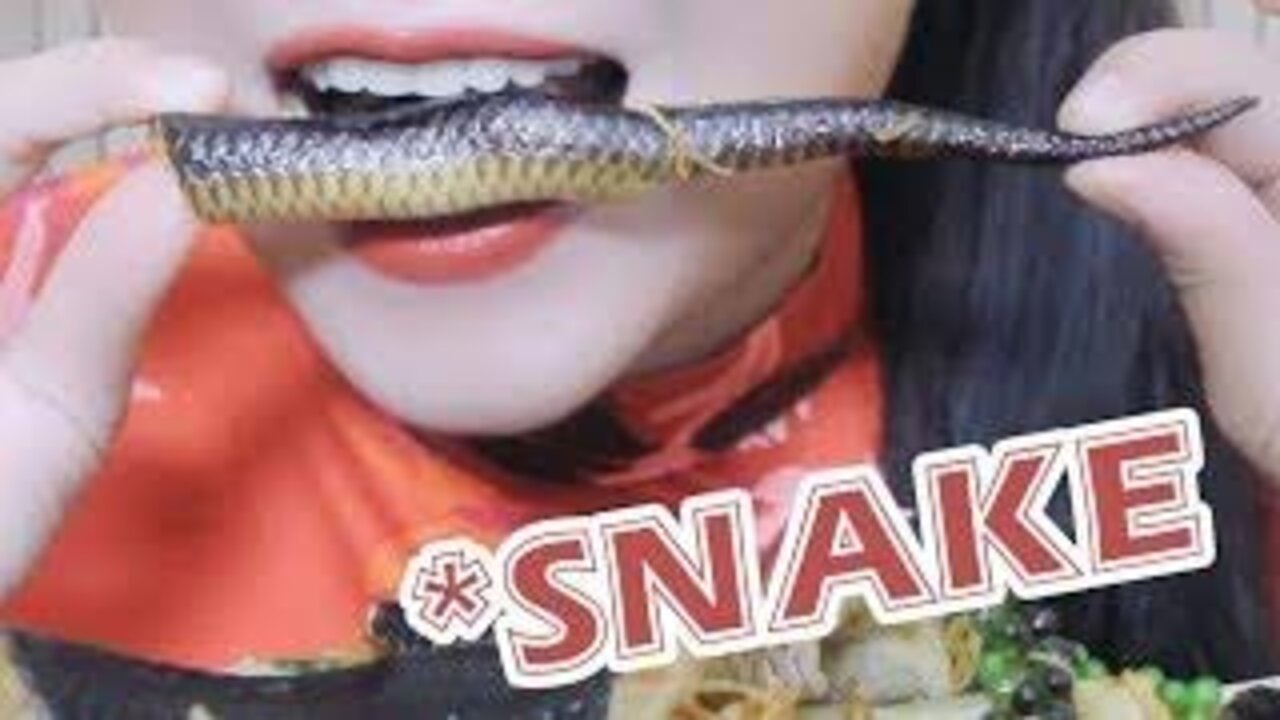 Can you eat snake food??