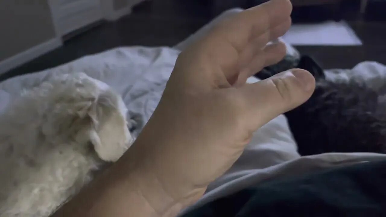 If it weren’t for bad luck, I’d have no luck at all.