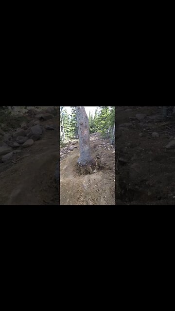 Trail construction at Philmont Scout Ranch