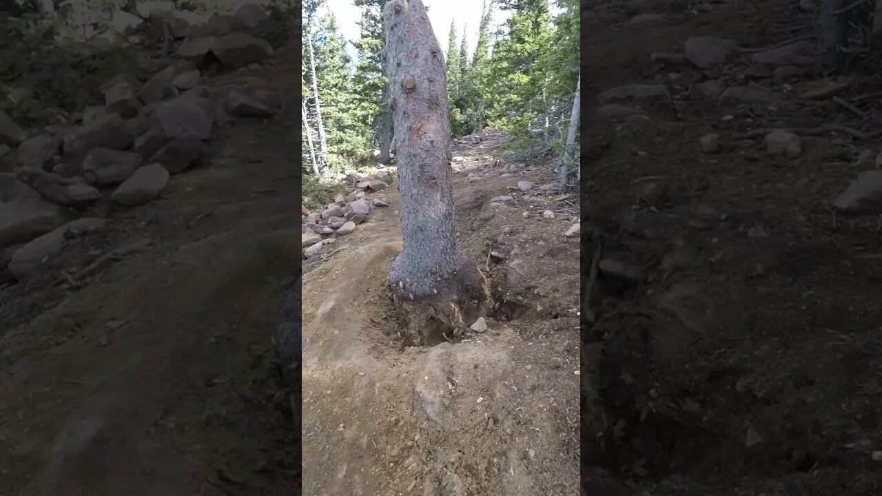 Trail construction at Philmont Scout Ranch